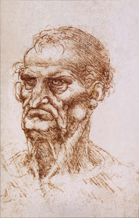 Study of an old man